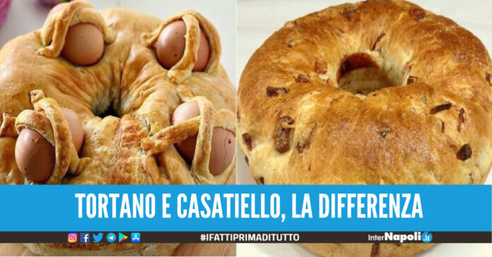 Sapevi che tortano e casatiello non sono la stessa cosa Qual è la differenza tra le due specialità pasquali
