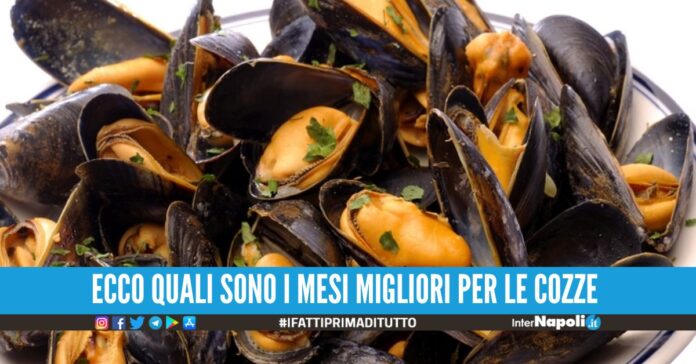 Le cozze nei mesi senza 'R', tra verità e leggenda si prepara la zuppa a Napoli a