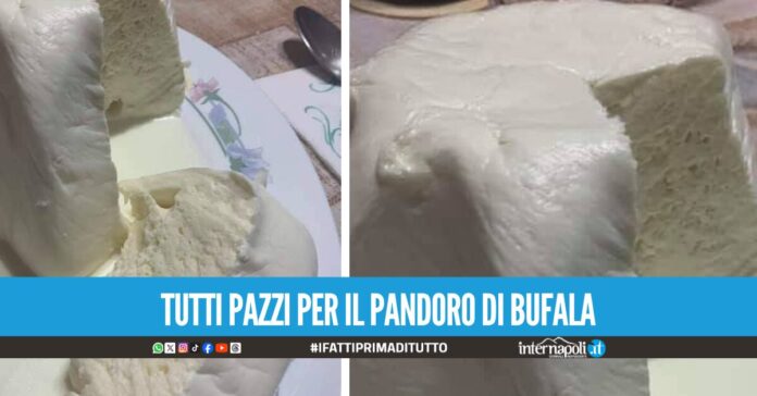 Tutti vogliono il 'pandoro di bufala', dove trovare la delizia di questo Natale