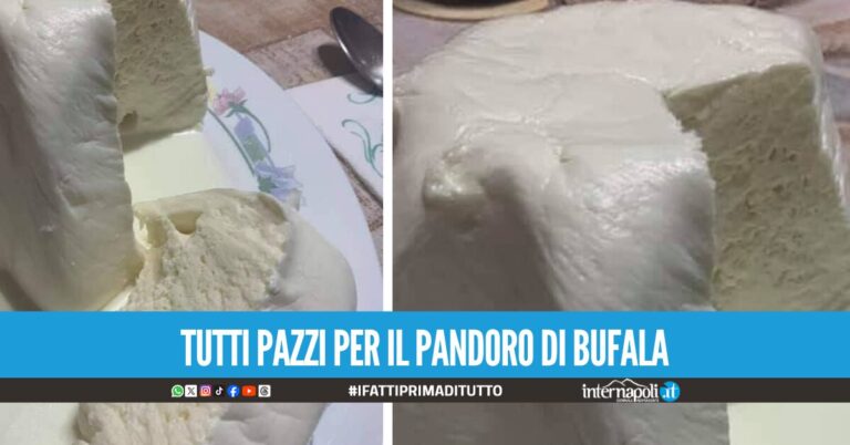 Tutti vogliono il 'pandoro di bufala', dove trovare la delizia di questo Natale