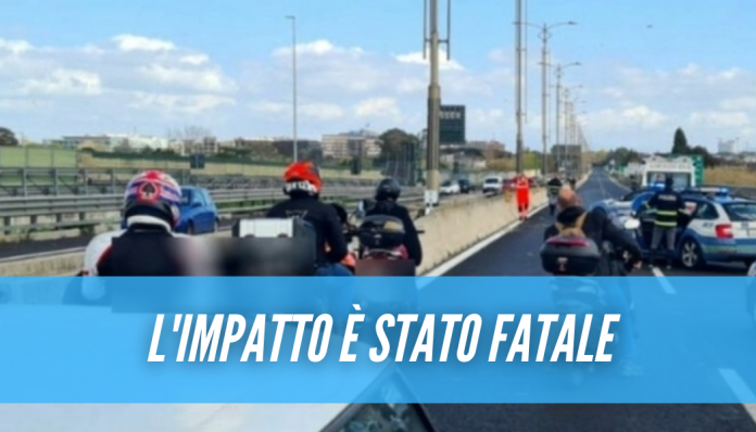 I soldi volano dal finestrino, Marco scende dall'auto in autostrada e viene travolto: inutili i soccorsi I soldi volano dal finestrino, Marco scende dall'auto in autostrada e viene travolto: inutili i soccorsi