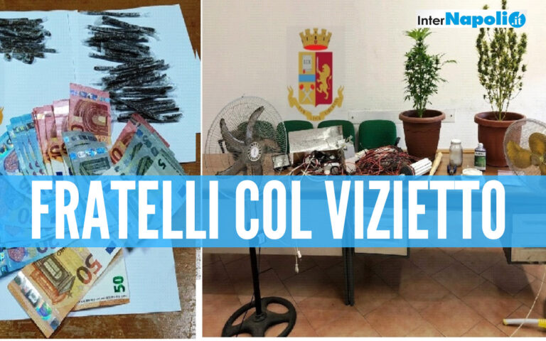 Doppio blitz della polizia a Casoria e Napoli: nei guai due fratelli, scoperta una serra stupefacente