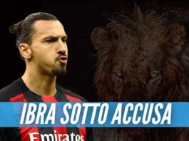 Ibrahimovic nei guai, dure accuse al giocatore: «Ha ucciso un leone e l'ha portato a casa come trofeo»