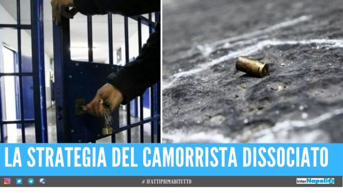 camorrista dissociato minorenne