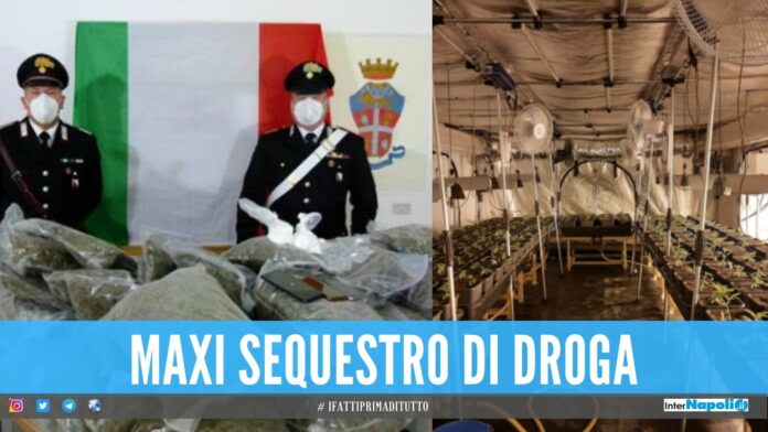 Marijuana e cocaina in un fondo agricolo