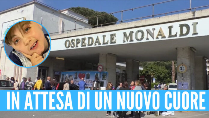 GIOVANNI ACERRA MONALDI