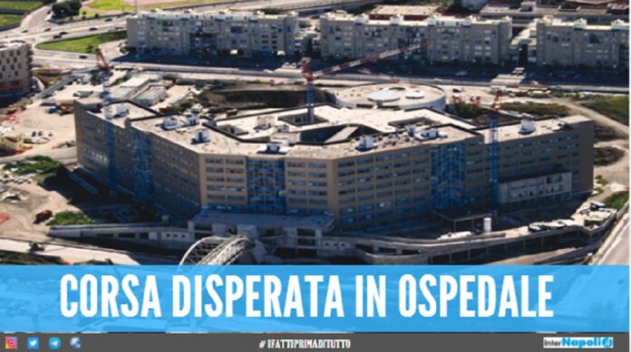 accoltellato