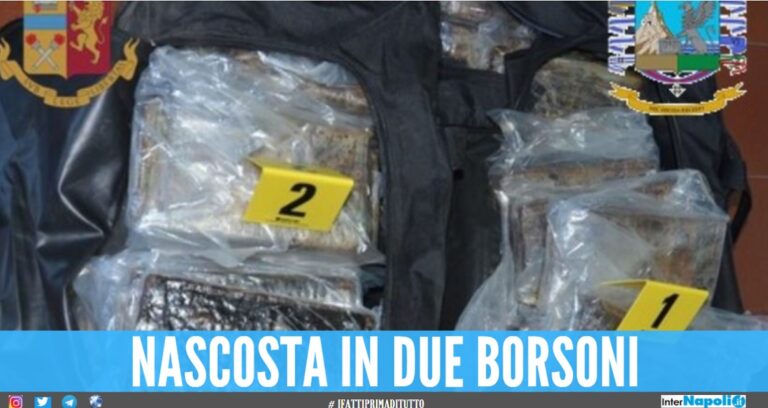 Sequestrati 65 Kg di cocaina pura nel porto di Salerno: indagini in corso