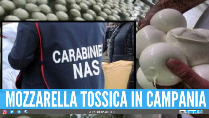 nas mozzarella