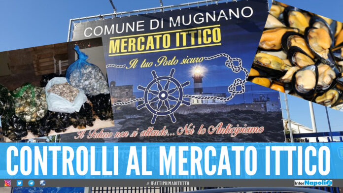 mercato ittico di Mugnano