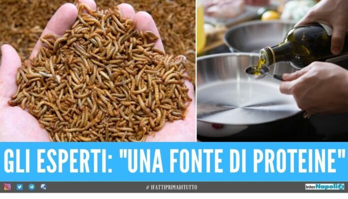 larve mangiare