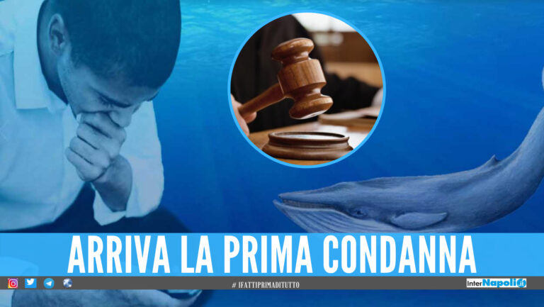 Blue Whale Challenge la sfida on-line che porta alla morte ritorna