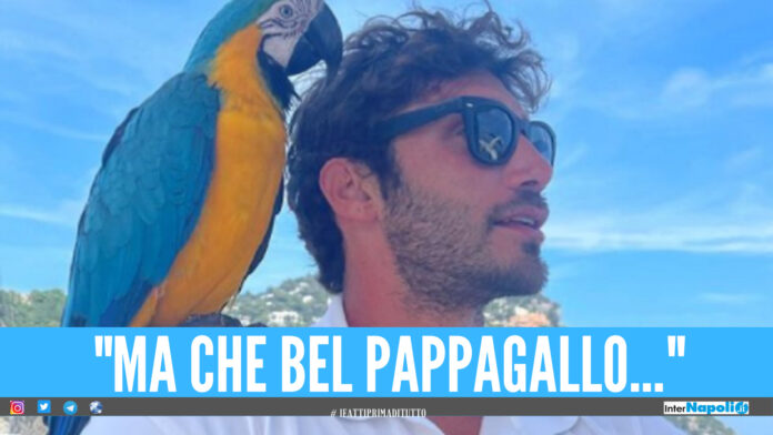 Stefano De Martino e il Pappagallo