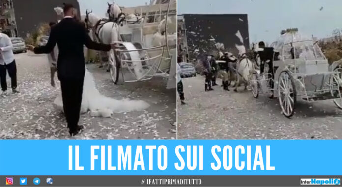 Il cavallo si sbizzarrisce, la sposa di Napoli cade in strada: il video è virale