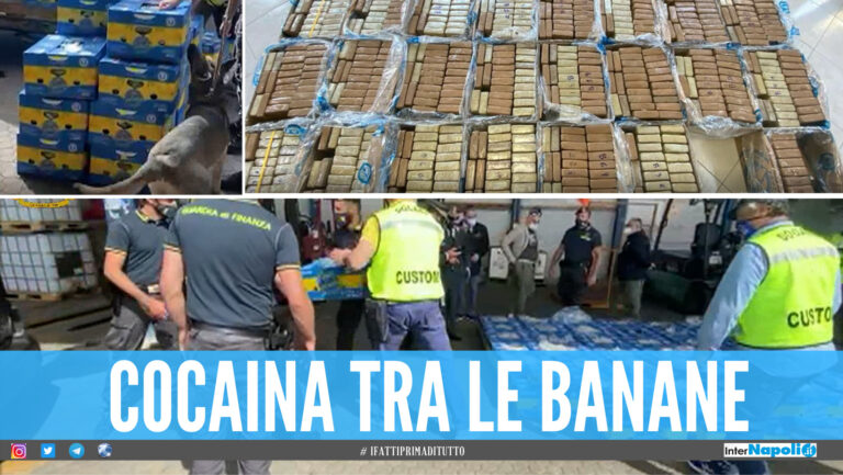 Una tonnellata di cocaina nascosta tra le banane, maxi sequestro al porto di Gioia Tauro