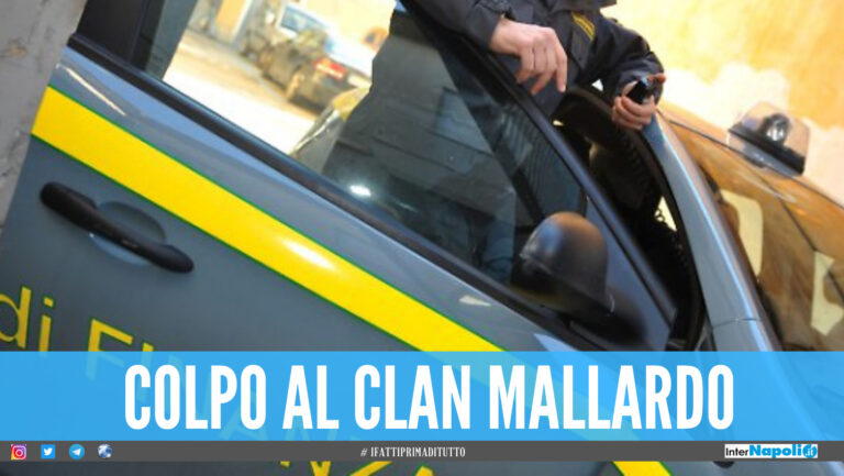 Clan Mallardo