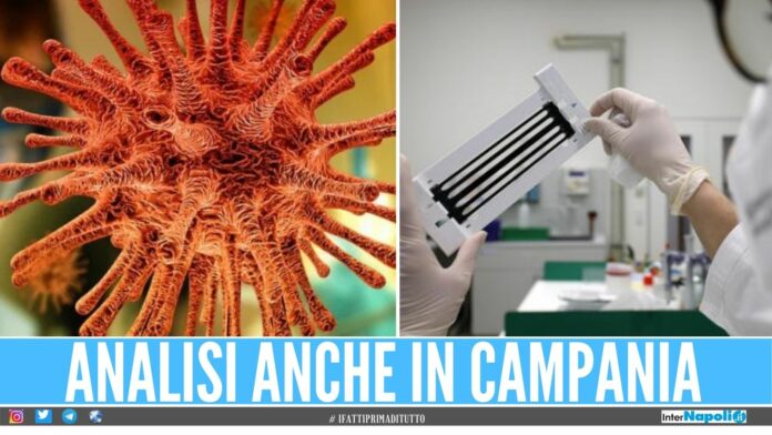 indagine rapida variante covid delta