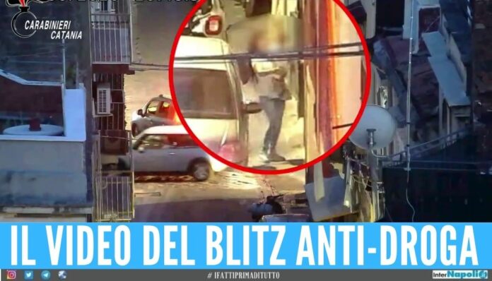 moglie capo piazza droga figlio braccio
