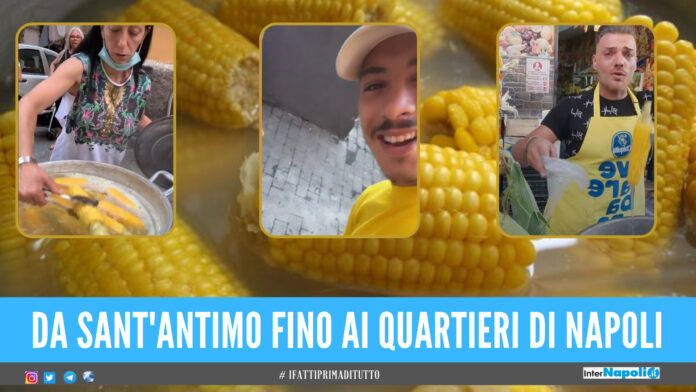 A Napoli e provincia scoppia la guerra delle pannocchie, su TikTok la sfida tra venditori