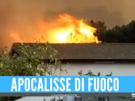 Incendi in Sicilia, bilancio drammatico: case evacuate e lido distrutto dalle fiamme