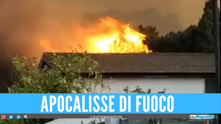 Incendi in Sicilia, bilancio drammatico: case evacuate e lido distrutto dalle fiamme