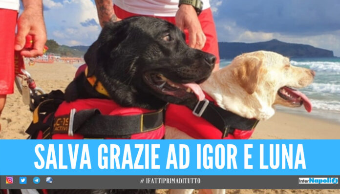 Rischia di annegare a 15 anni, Ilenia salvata da 2 cani bagnino in Campania