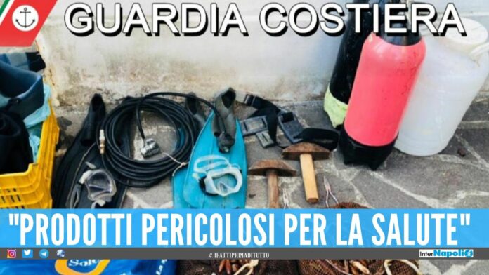 Disastro ambientale in Costiera Sorrentina, arrestati 17 'datterari'