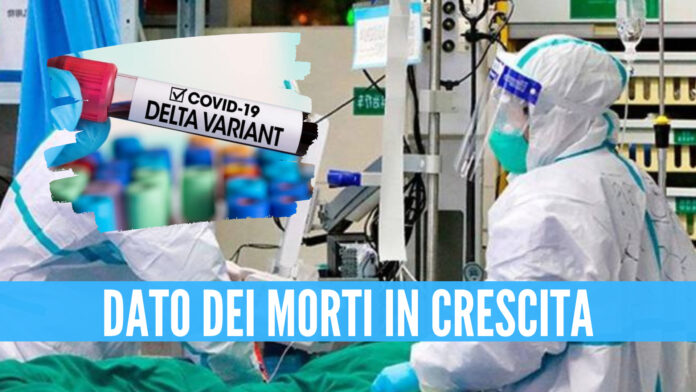 Variante Delta, Fondazione Gimbe