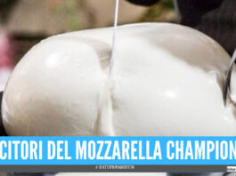 Mozzarella Championship