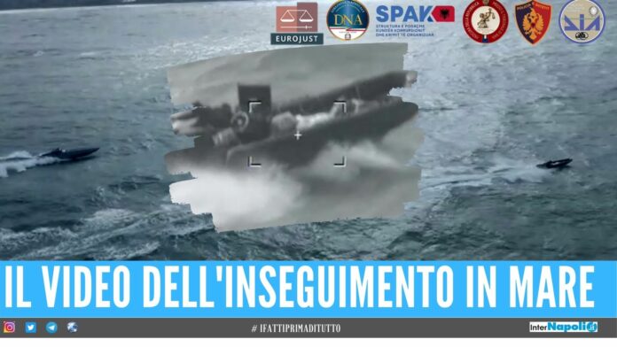 albania Sgominato traffico di droga dall'Albania all'Italia, 38 arresti e sequestro milionario