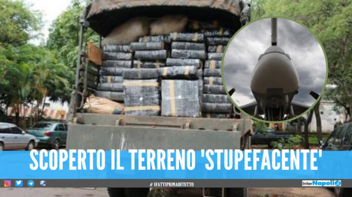 sequestro marijuana