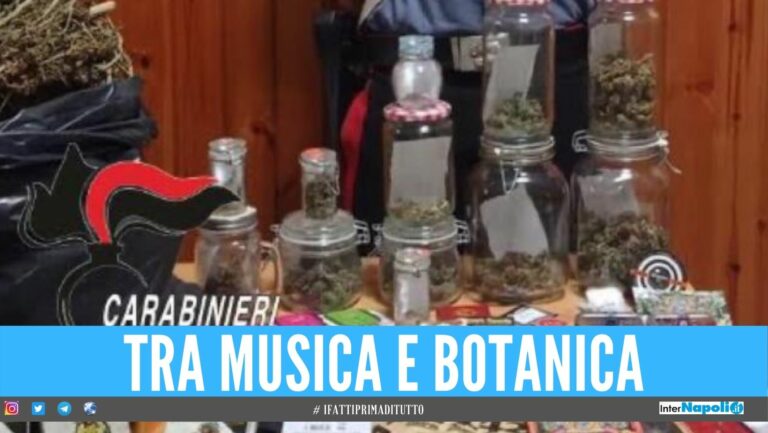 Marijuana cresciuta con la musica classica, scoperto in provincia di Napoli
