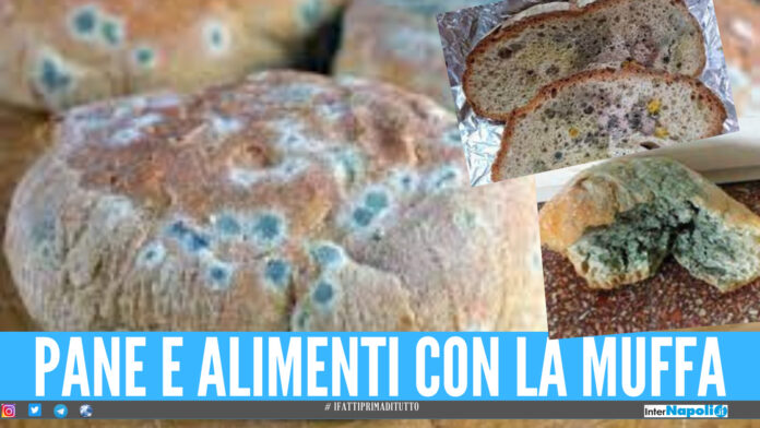 Pane con la muffa