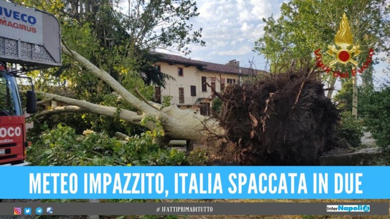 Il maltempo si abbatte sul nord Italia, tromba d’aria abbate gli alberi