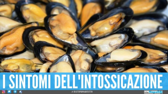Allarme biotossine in un lotto di cozze, il Ministero dispone il ritiro