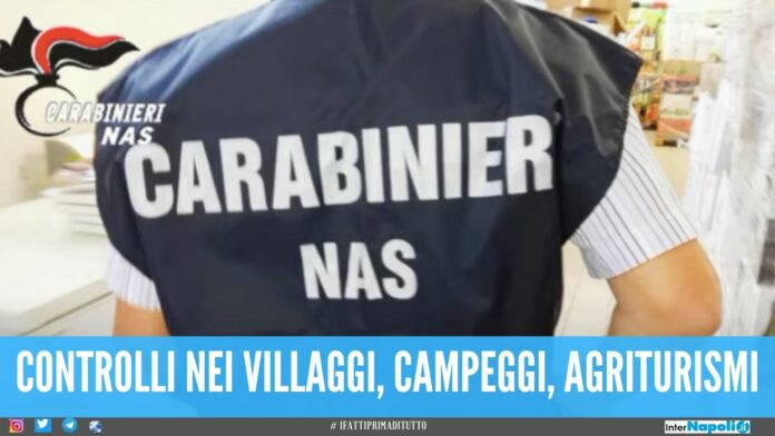 Blitz dei Nas nel campeggio a Giugliano, sequestrati 50 kg di alimenti 'pericolosi'