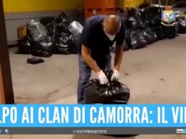 Blitz della Polizia e della Finanza di Napoli, sequestrati 1600 kg di marijuana