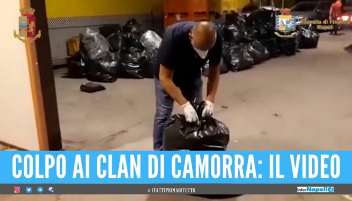 Blitz della Polizia e della Finanza di Napoli, sequestrati 1600 kg di marijuana