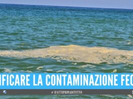 Chiazza di mucillagine in mare Arpac interviene in provincia di Napoli