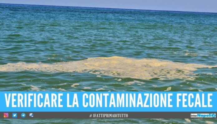 Chiazza di mucillagine in mare Arpac interviene in provincia di Napoli