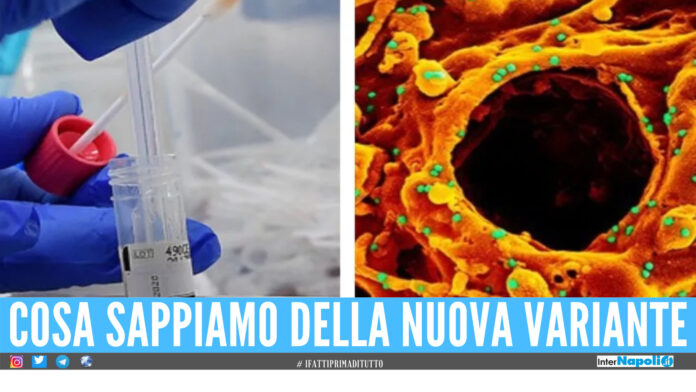 Covid variante Lambda