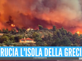 [VIDEO]. Disastro e paura sull'isola della Grecia, maxi incendio devasta case e villaggi