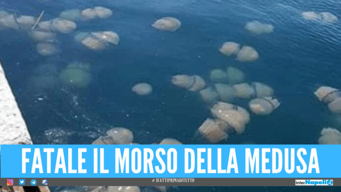 Copia di #ifattiprimaditutto (71)