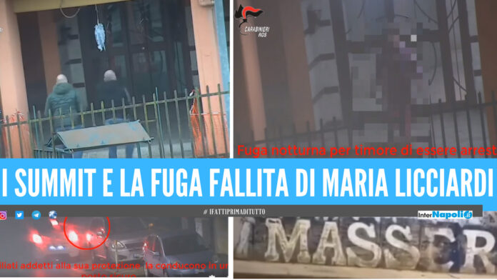 PROGETTO ITALIA (5) La fuga fallita in Spagna, i summit in casa e le sentinelle di guardia: la cattura di Maria Liccardi