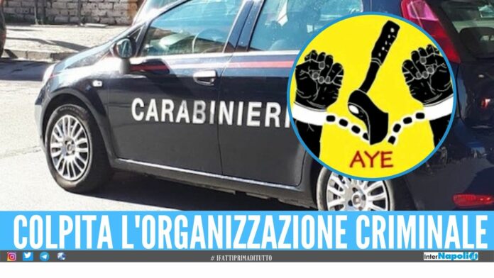Traffico di droga e riciclaggio a Napoli arrestato affiliato dei Black Axe