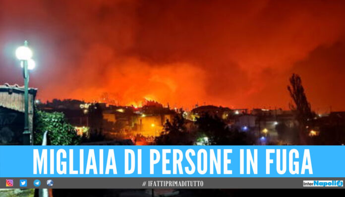 grecia incendio