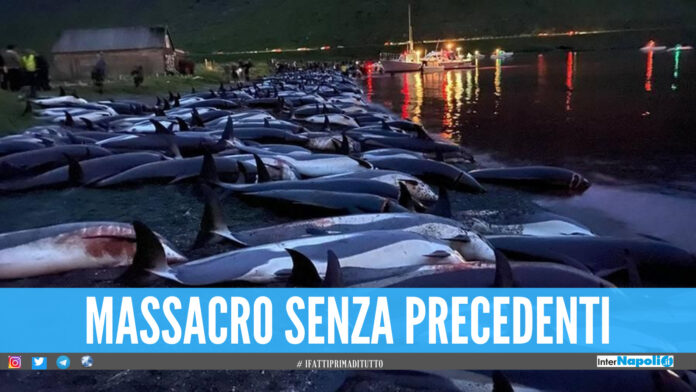 Foto della mattanza dei delfini alle isole Faroe