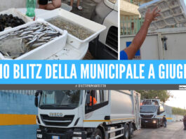 Giugliano, doppia operazione della Municipale: 3 camion multati allo Stir, pescheria abusiva sanzionata per 5mila euro
