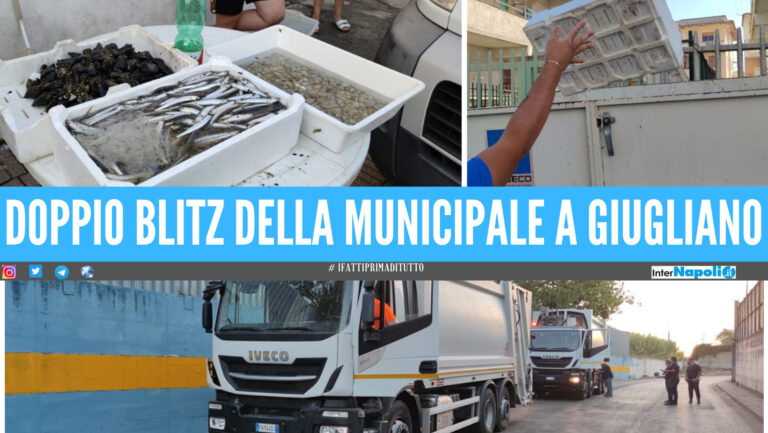 Giugliano, doppia operazione della Municipale: 3 camion multati allo Stir, pescheria abusiva sanzionata per 5mila euro