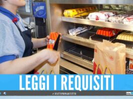 McDonald's cerca 120 dipendenti in provincia di Napoli, presto 2 nuove aperture